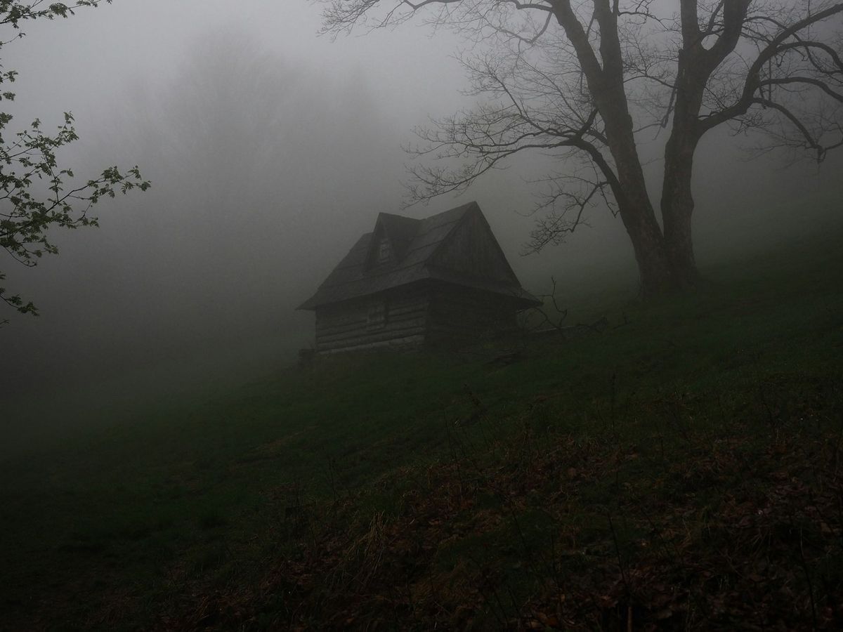 A cabin in fog