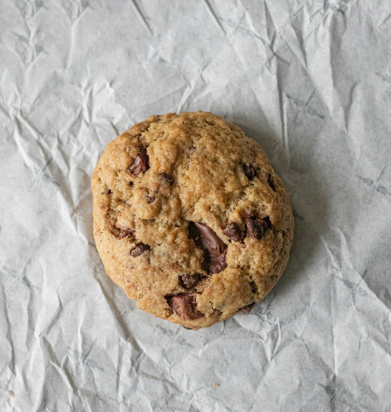 A single dark chocolate walnut cookie seen from above