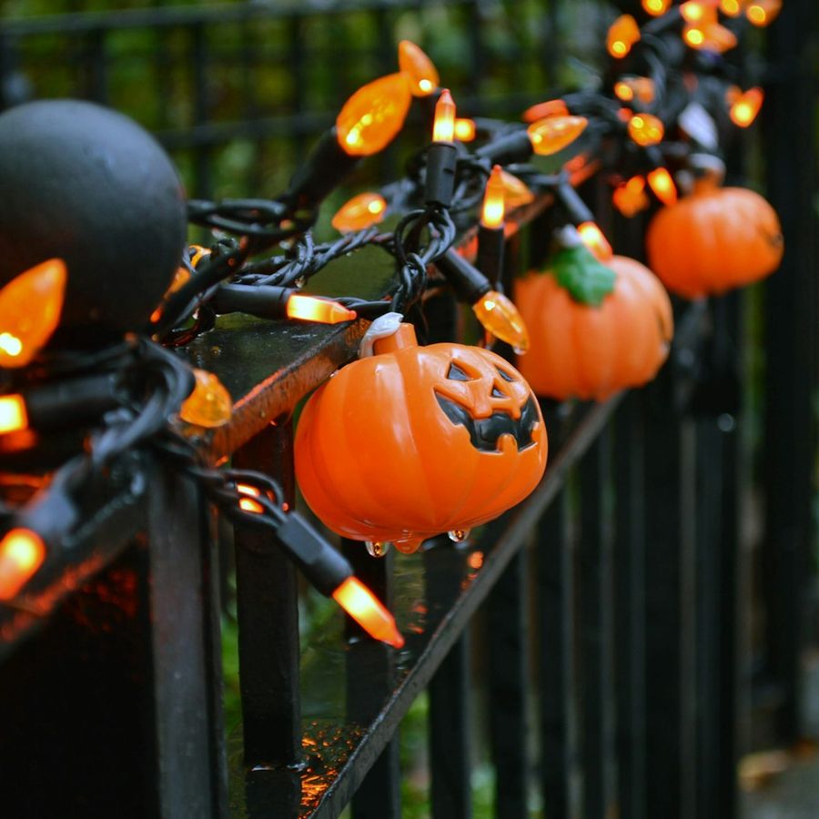 Pumpkin String Lights