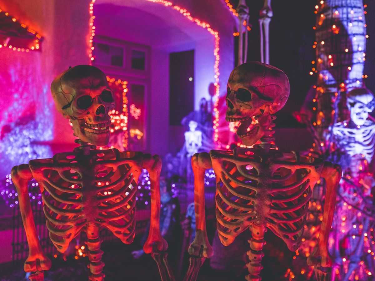 Porch Skeleton, 5 ft