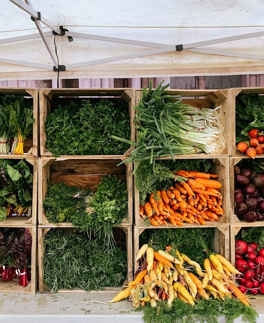 Crates of fresh vegetables