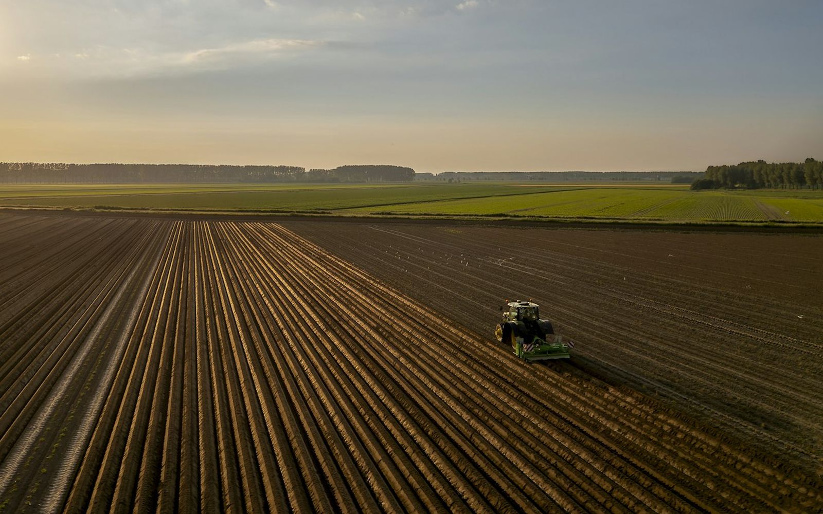 A tractor in the field at dusk