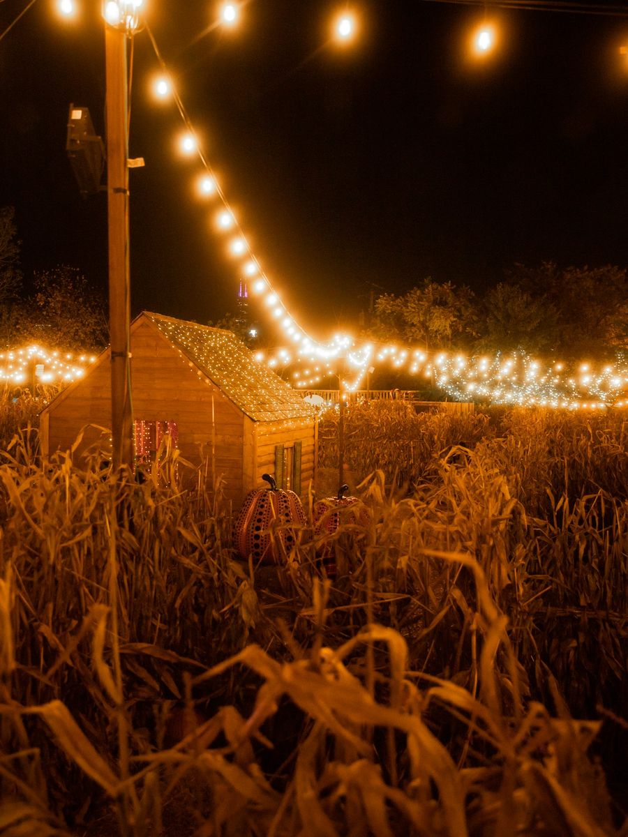 Flashlight Maze Night