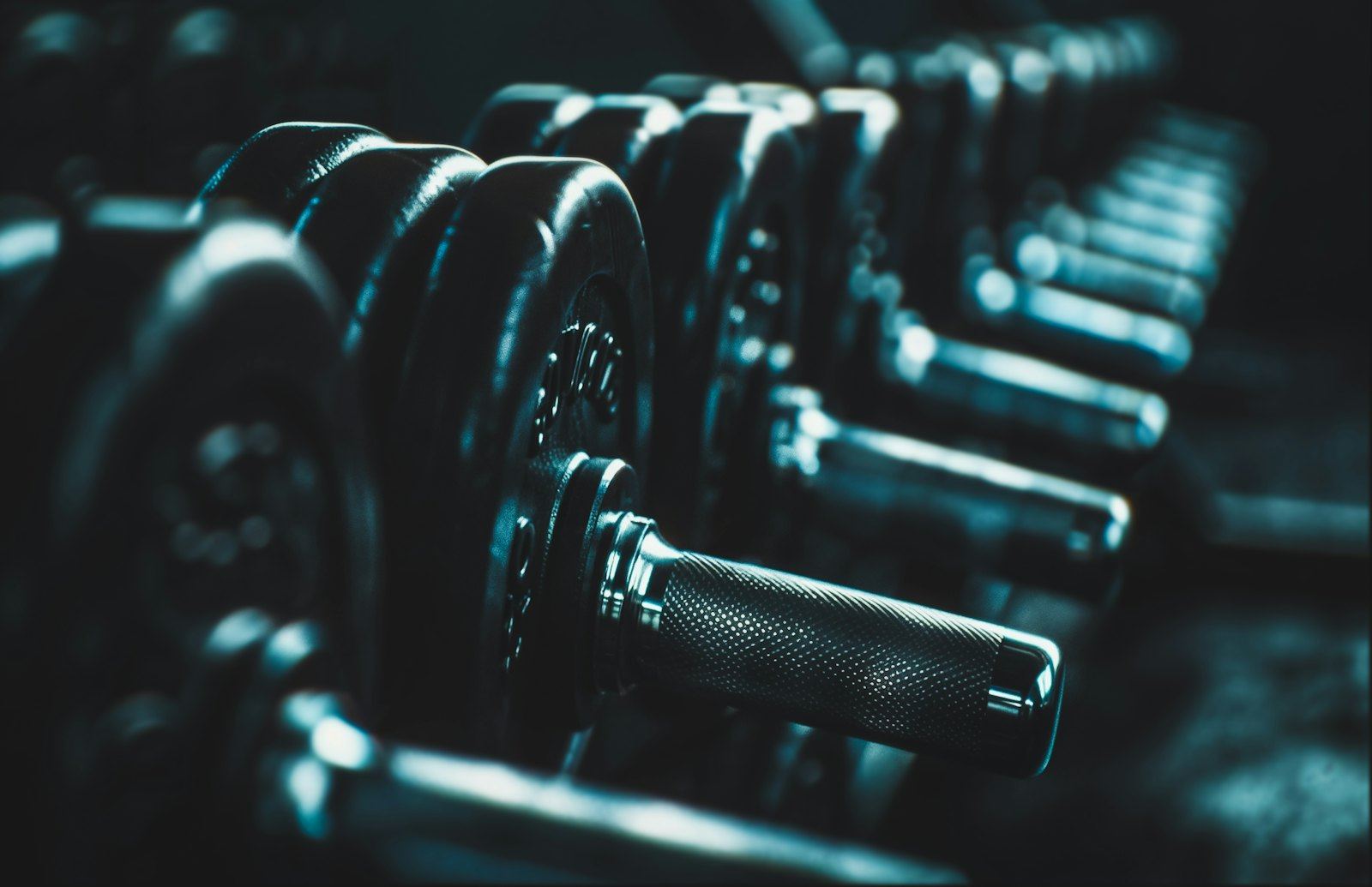 A row of dumbbells